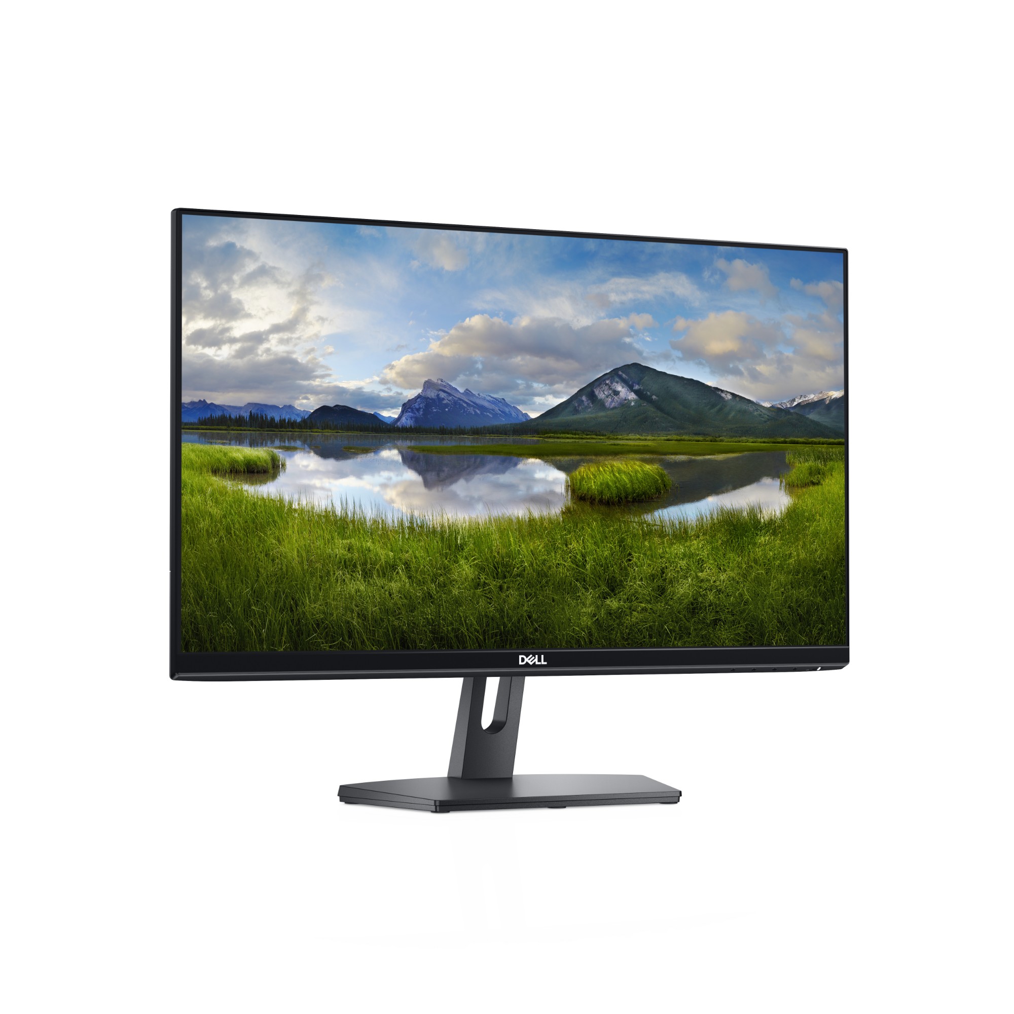 DELL SE2419HR computer monitor 61 cm (24\") 1920 x 1080 pixels Ful
