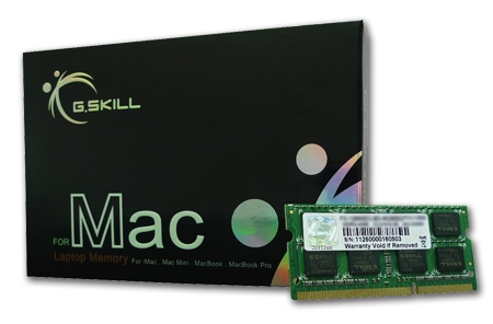 G.Skill 8GB DDR3-1600 memory module 1 x 8 GB 1600 MHz