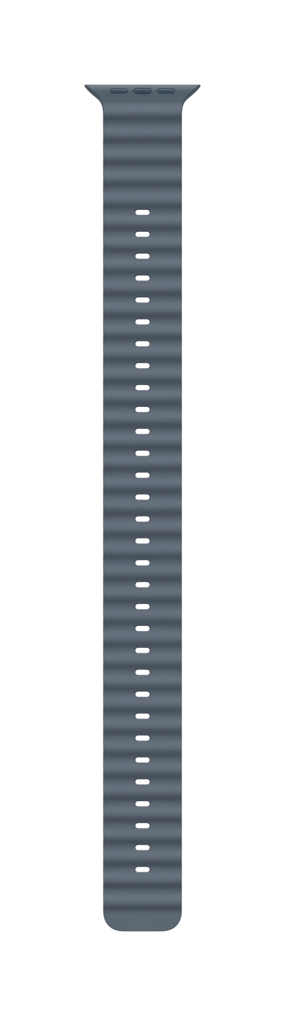 Apple Natural Titanium Finish Band Blue Fluoroelastomer. Titanium