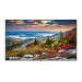 Panasonic TH-55CQE1W Signage Display Digital signage flat panel 139.7 cm (55") IPS Wi-Fi 400 cd/m² 4K Ultra HD Black 16/7