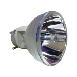 ECL-7869-PG - Projector Lamps -