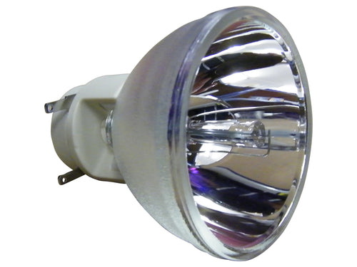 Pro-Gen ECL-7869-PG projector lamp