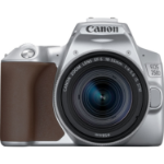 Canon EOS 250D + EF-S 18-55mm f/4-5.6 IS STM SLR Camera Kit 24.1 MP CMOS 6000 x 4000 pixels Silver