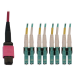 Tripp Lite N845X-02M-8L-MG InfiniBand/fibre optic cable 78.7" (2 m) MPO/MTP 4x LC OFNR Aqua color, Black, Magenta
