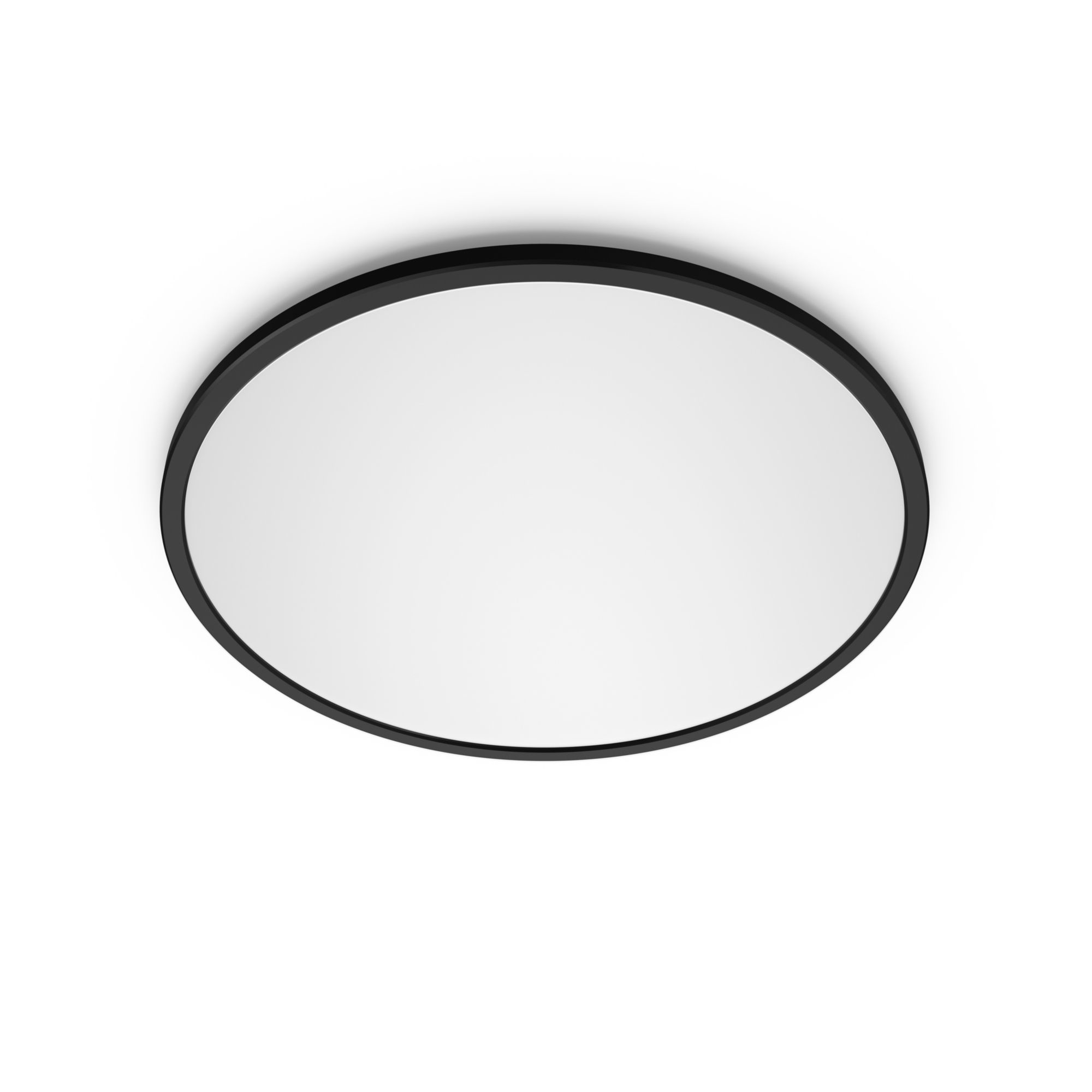 Philips Functional Ceiling light