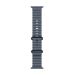 Apple Titanium Finish Band Blue Fluoroelastomer, Titanium
