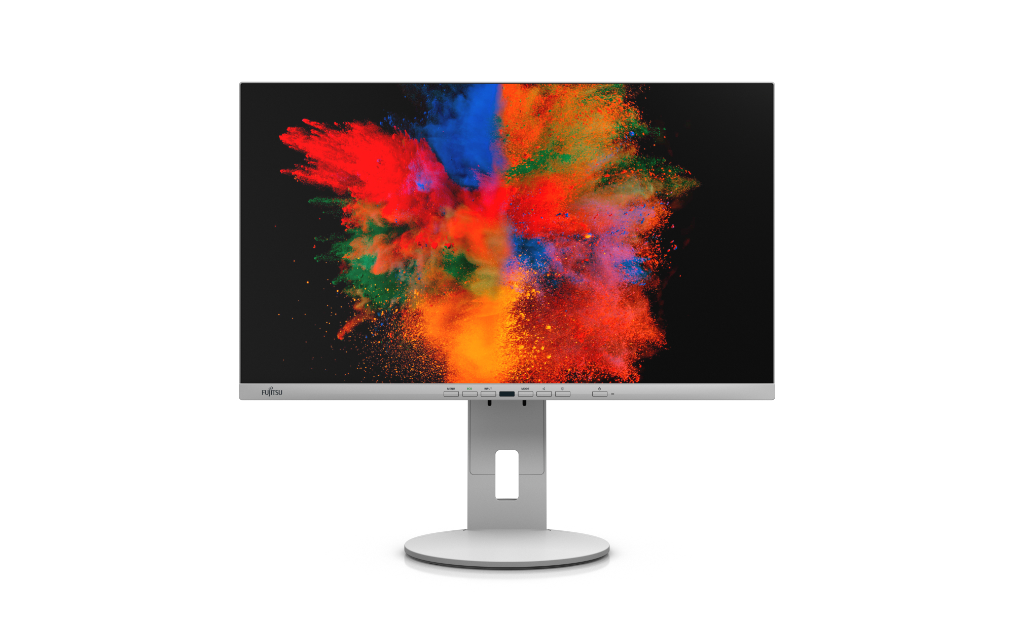 Image of Fujitsu Displays DISPLAY B2410 TE