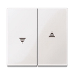 Merten 432419 light switch White