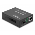 DeLOCK 86861 netwerk media converter 10000 Mbit/s Zwart