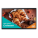 Samsung LH24QBCEBGCXEN Signage Display Digital signage flat panel 60.5 cm (23.8") LED Wi-Fi 250 cd/m² Full HD Black Tizen 16/7