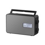 Panasonic RF-D30BTEG Portable Digital Black, Grey