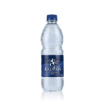 Radnor Hills Still Water 500ml Bottles (24)
