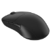 Endgame Gear XM2we mouse Gaming Right-hand RF Wireless + USB Type-C Optical 19000 DPI