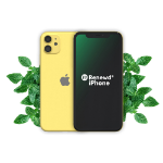 Renewd iPhone 11 Yellow 64GB