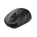 Trust TM-200 mouse Ambidextrous RF Wireless Optical 1600 DPI