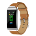 Denver BFH-250 Pulsera de actividad 2,44 cm (0.96") IP68 Marrón, Plata