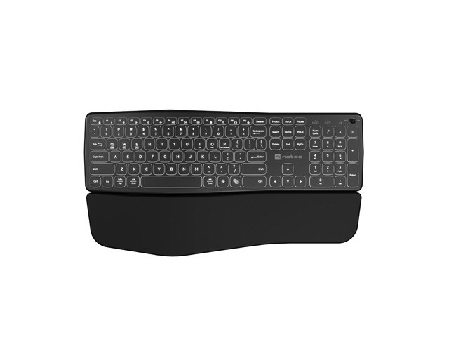 NAT EC PORIFERA keyboard Home/Office Bluetooth QWERTY US International Black