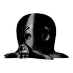 MakerBot MP06237 3D printing material Polylactic acid (PLA) Black 4.53 kg