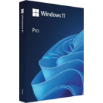 Microsoft Win Pro FPP 11 64-bit Polish 1 License USB Flash Drive Price Diff