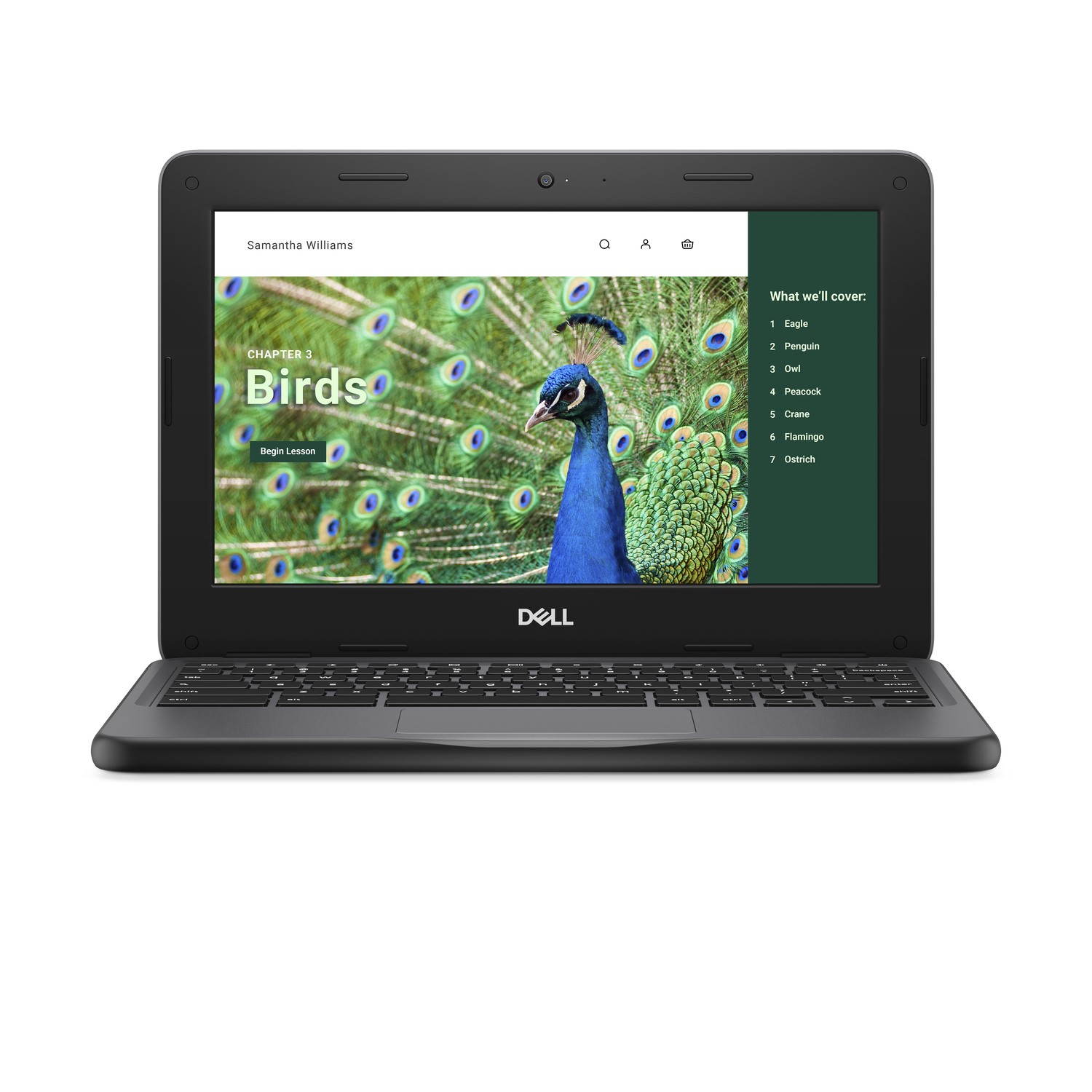 DELL Chromebook 3120 Intel N100 4GB RAM 64GB eMMc 11.6 Inch Chromebook