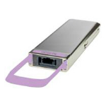 Cisco CPAK-10X10G-LR= network transceiver module