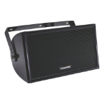 Biamp Community W2-218T 2-way Black Wired