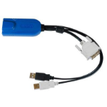 Raritan Digital DVI-D, USB CIM KVM cable Multicolour, Black 0.3 m