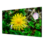 Hikvision DS-D2055HE-G video wall display LCD