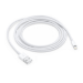 Apple Cavo da lightning a USB 2mt