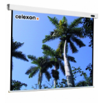 Celexon - Electric Professional - 235cm x 235cm - 1:1 - Electric Projector Screen