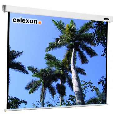 Celexon - Electric Professional - 235cm x 235cm - 1:1 - Electric Projector Screen