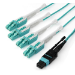 StarTech.com 1m (3ft) MTP(F)/PC to 4x LC/PC Duplex Breakout OM3 Multimode Fiber Optic Cable, OFNP Plenum, 40G Networks, Low Insertion Loss - Fiber Jumper Cord