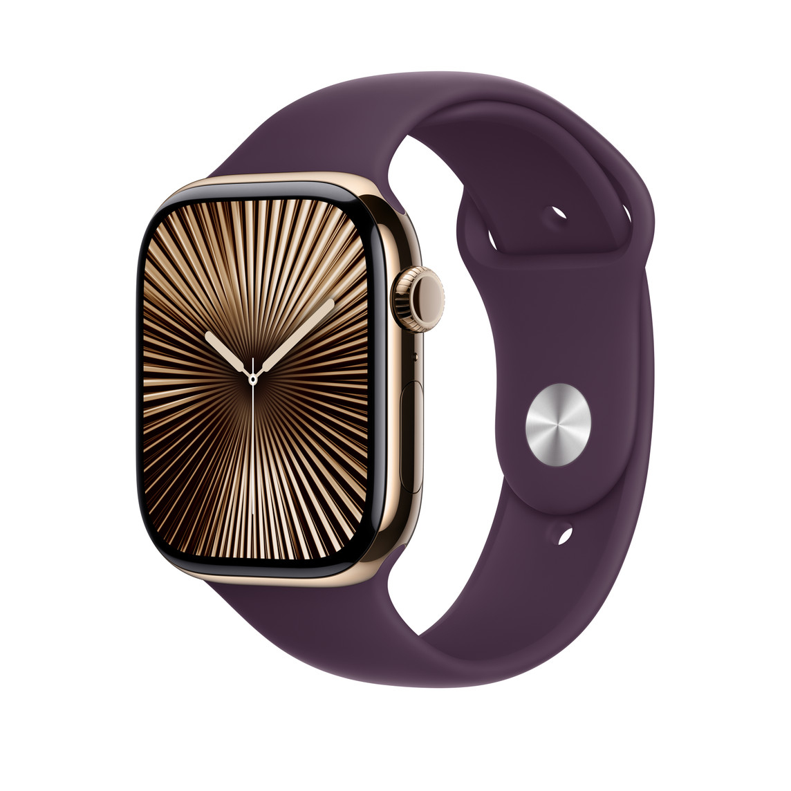 Apple MXLT3ZM/A smart wearable accessory Band Plum colour Fluoroelasto