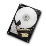 HGST 2TB SAS 64MB, RAID 24x7