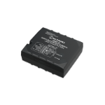 Teltonika FMM130LNXW01 GPS tracker/finder Car Black