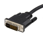 StarTech.com DP2DVIMM10 Video Cable Adapter 3 m DisplayPort DVI-D Black