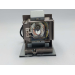Diamond Lamps Lamp for BENQ W1350:HT4050:W3000 Projector