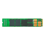 Seagate Nytro XM1440 M.2 800 GB PCI Express eMLC