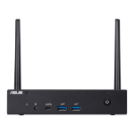 ASUS PL63-SYS382PXT PC/workstation Intel® Core™ i3 i3-1115G4 8 GB DDR4-SDRAM 256 GB SSD Windows 11 Pro Mini PC Black
