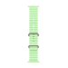 Apple Natural Titanium Finish Band Green Fluoroelastomer, Titanium