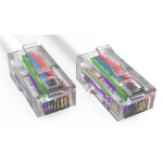 Accortec C5ENB-W12-ACC networking cable White 144.1" (3.66 m) Cat5e U/UTP (UTP)