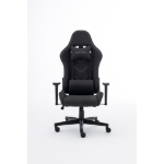 Raptor Gaming GS-100 Padded seat Padded backrest