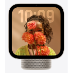 Apple HomeView
