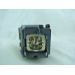 Diamond Lamps Lamp for SONY VPL VW500ES:VPL VW600ES Projector