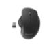 Gembird MUSW-6B-02 mouse Office Right-hand RF Wireless Optical 1600 DPI