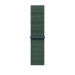 Apple 46mm Lake Green Sport Loop
