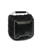ECOXGEAR EcoTrek Mono portable speaker Black 100 W