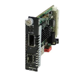 Perle C-10G-XTS network media converter Internal 10000 Mbit/s Black, Green