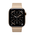 Apple 42mm Gold Link Bracelet