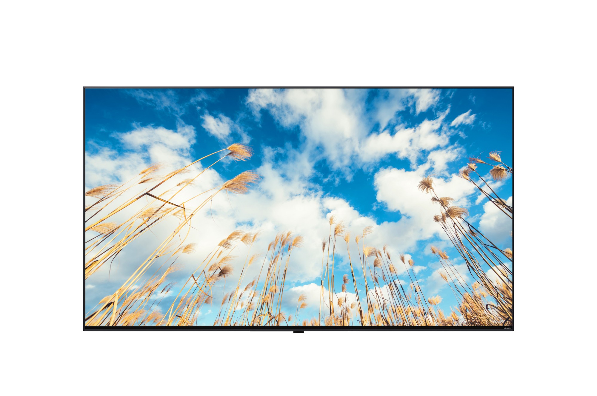 LG 65UM767H TV 165.1 cm (65") 4K Ultra HD Smart TV Wi-Fi Blue 380